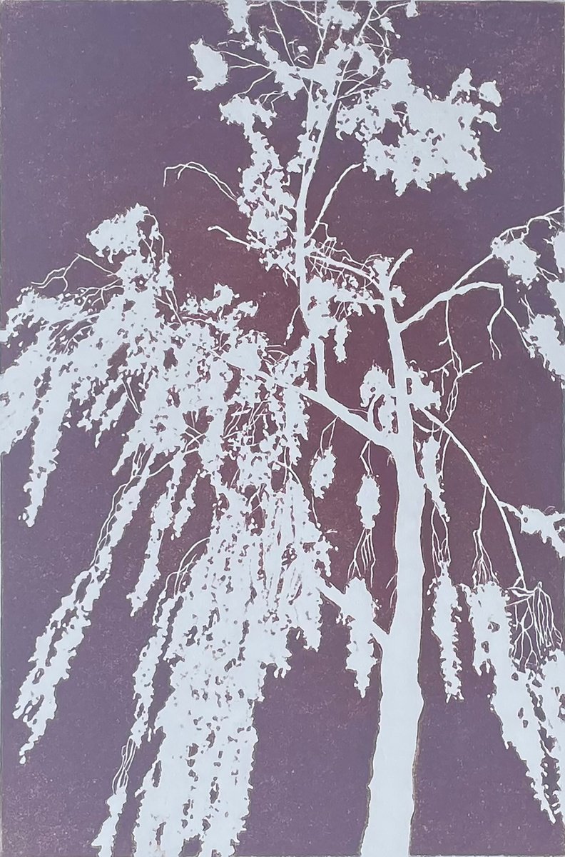 Birch Tree Linocut Print by C Staunton