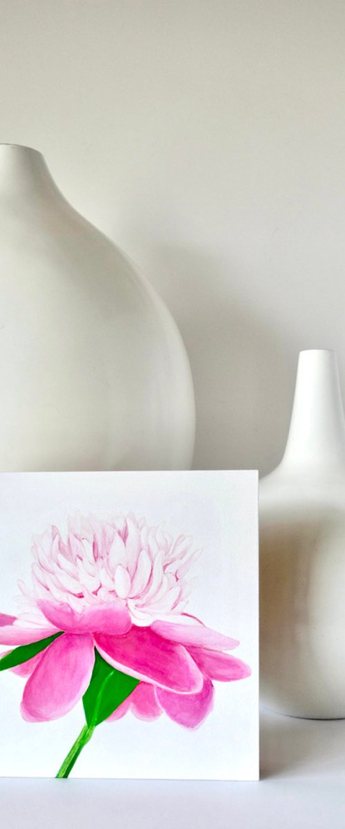 Pink Cap Peony by Susan Porter