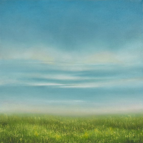 Summer Grass - Blue Sky Landscape