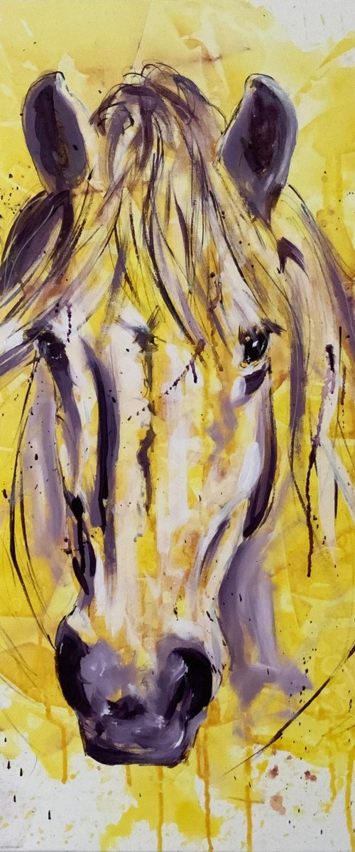 Horse head on yellow by Geoffrey Dawson