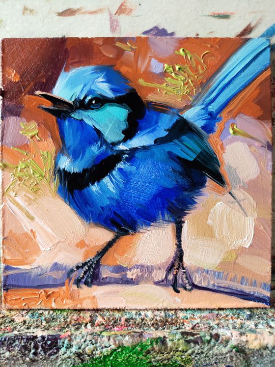 Fairy wren bird art, Small painting of bird in frame, Pocket bird painting, Original blue bird art 4x4