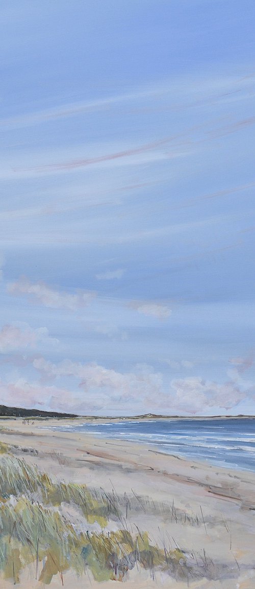 Holkham new dunes and view by Tom Cringle