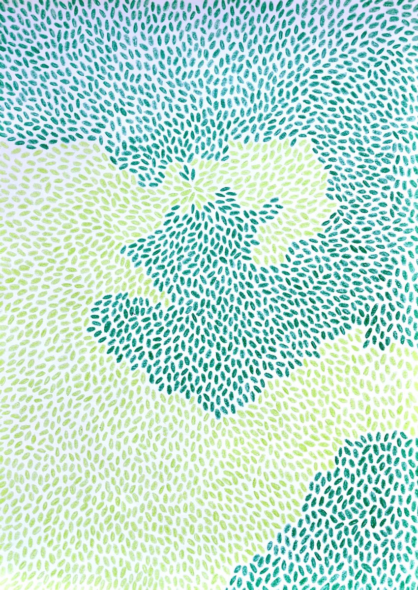 Abstract Pencil Drawing By Flora Butler, 8 X 12, Glossy Leaves Are Twinkling, Original Artwork