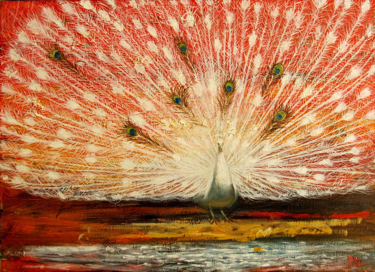 THE WHITE PEACOCK (albino) by Serhiy Roy