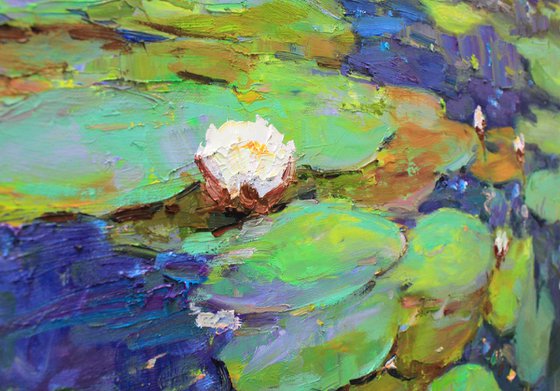 Water Lilies #4