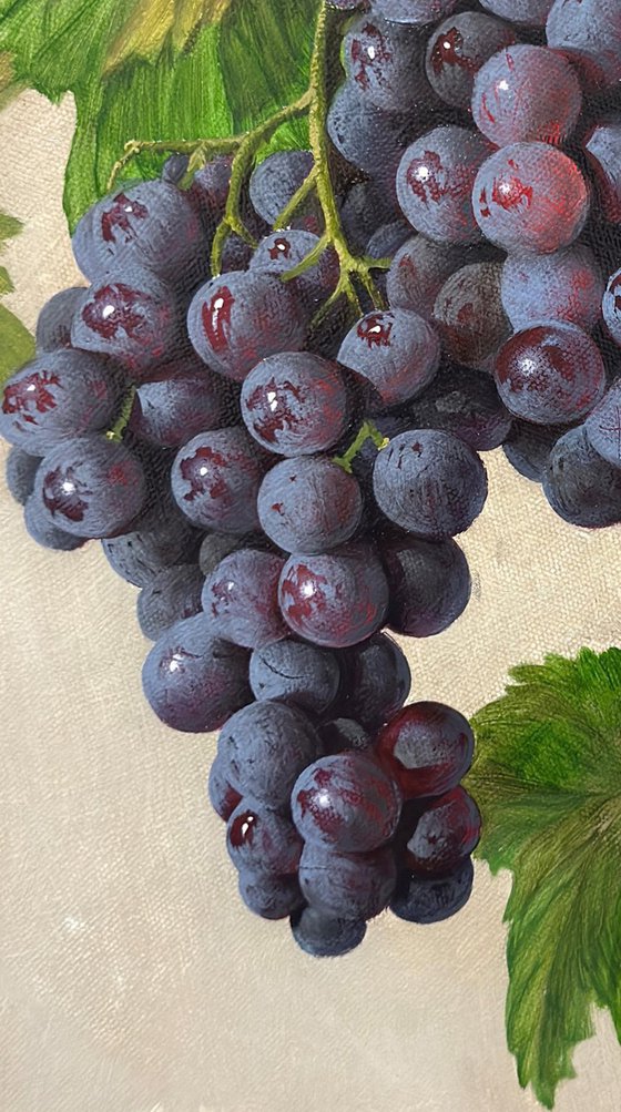 Grapes 2025