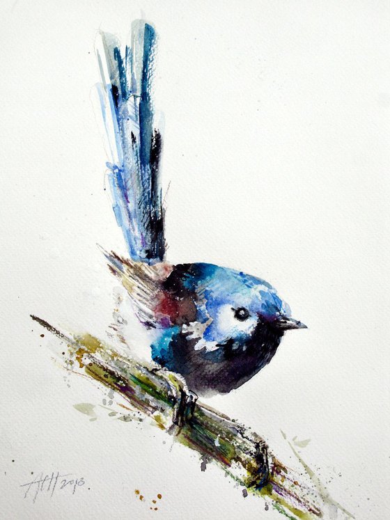 fairy wren watercolour