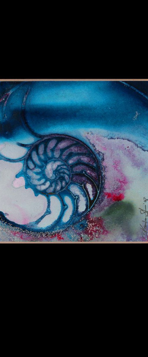 Nautilus Shell 70 by Kathy Morton Stanion
