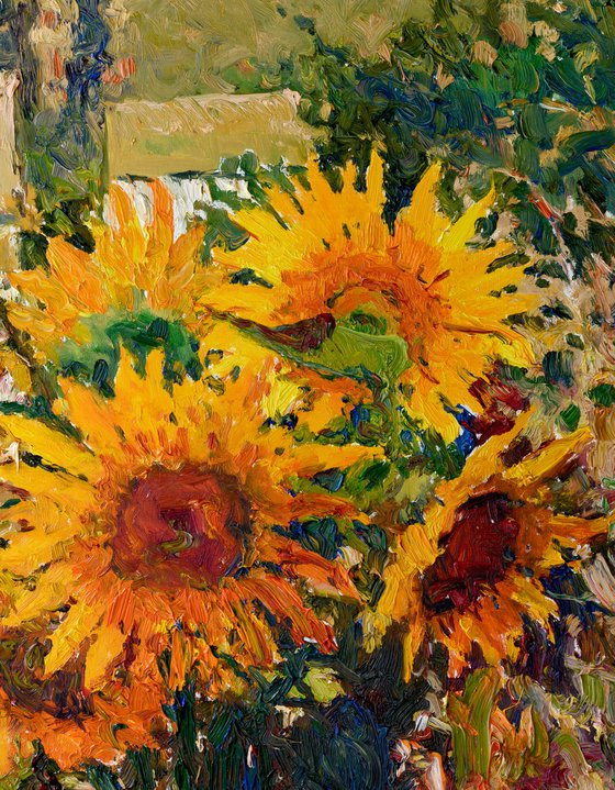 Sunflowers. Summer