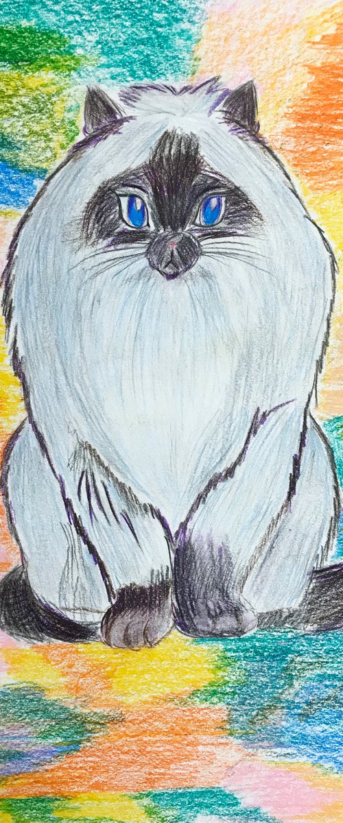 Siamese cat by Anastasia Terskih