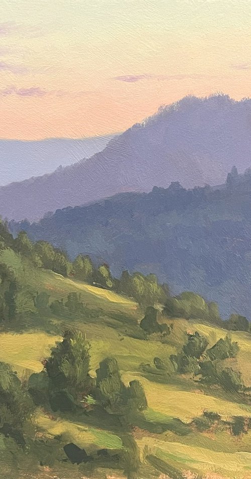 Up Before the Sun by Ryan Stalsby