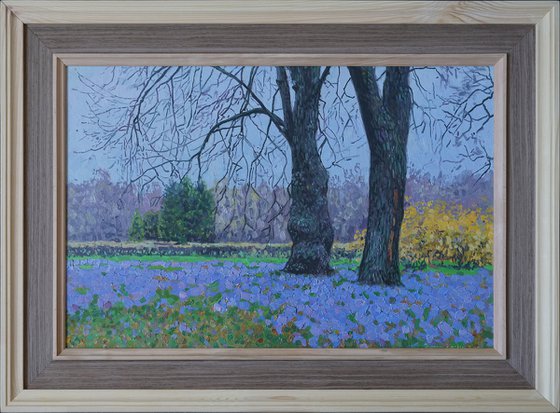 Blue primroses
