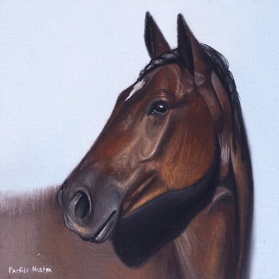 Horse Portrait 31