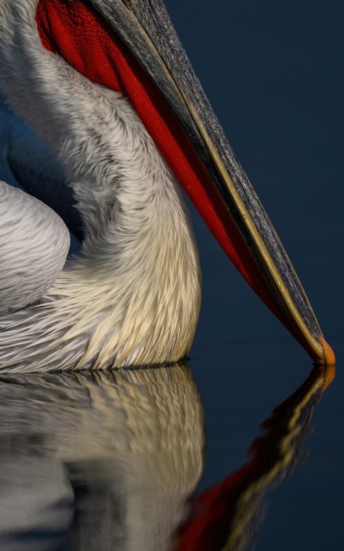 Eyeless in Greece by Nick Dale