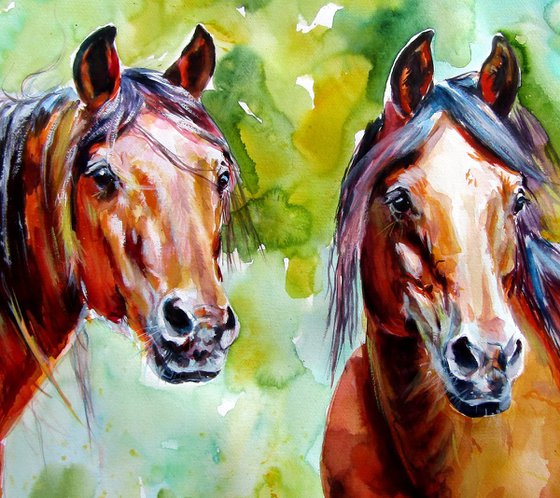 Horse friendship