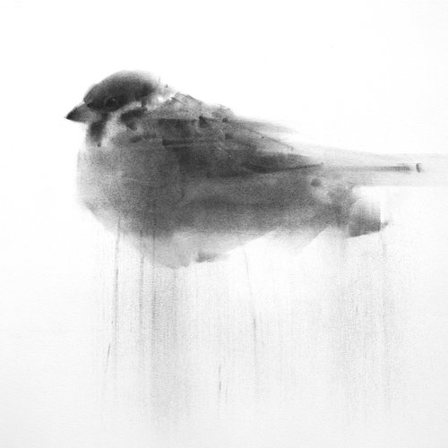 Sparrow XXX by Tianyin Wang