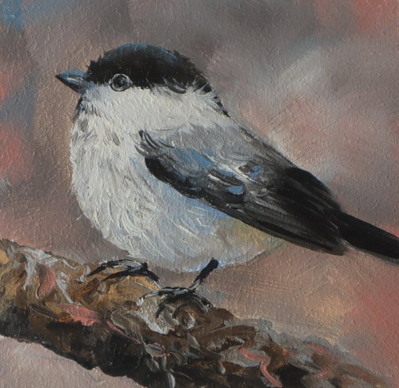 Chickadee Bird on a Branch