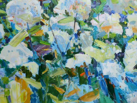 "  Hydrangea "