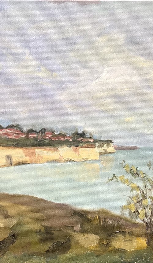 Chalk cliffs at Pegwell Bay. by Julian Lovegrove Art