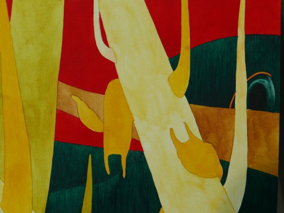 A forest