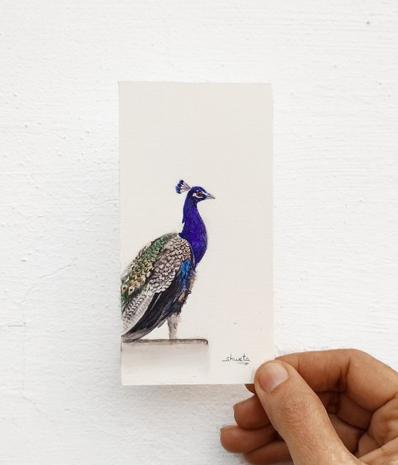 Peacock Miniature Art III