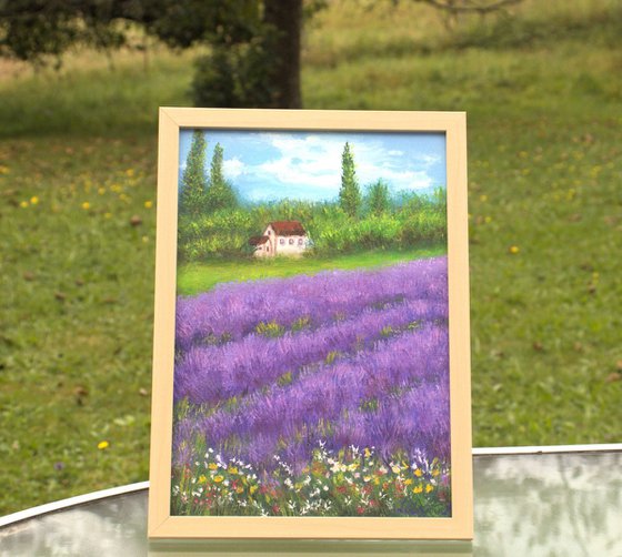 Lavender field