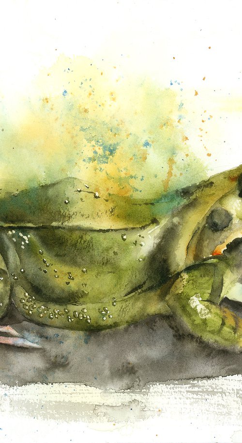 Frog - Original Watercolor Painting by Olga Tchefranov (Shefranov)