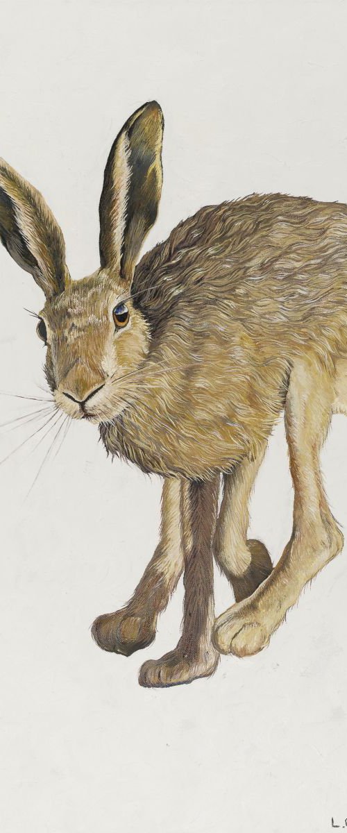 March Hare 2 by Lydia Cunningham