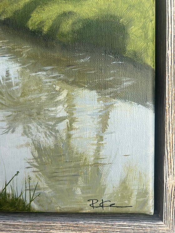 River of Quiet Palms