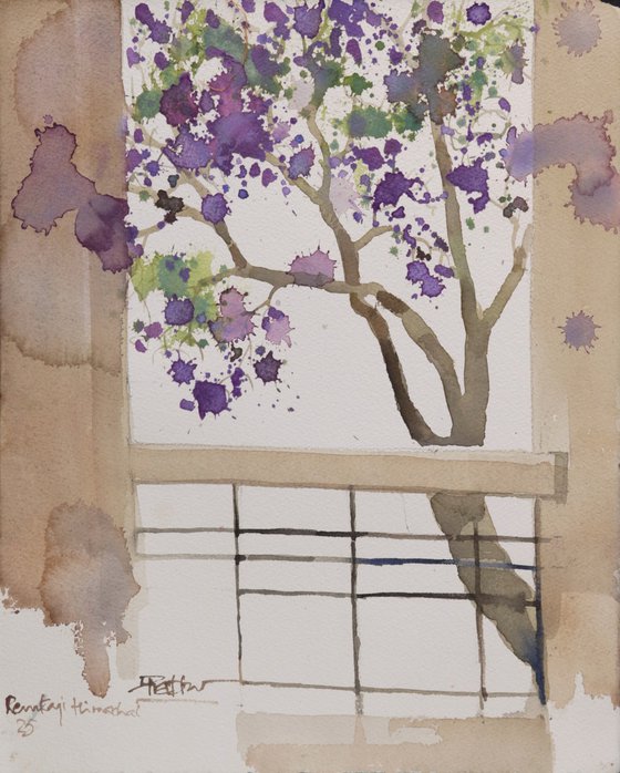 Violet blossoms