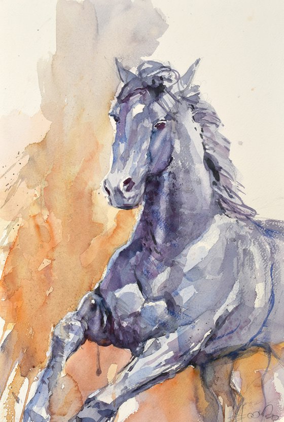 2 watercolors :   ( possible commission  for J.D.) Black horses  side view  and  black horse