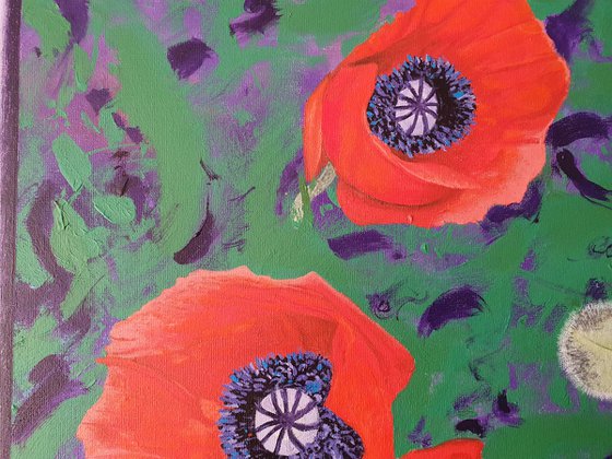 Poppies on Purple