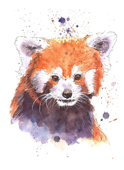 Red Panda by Geoffrey Dawson