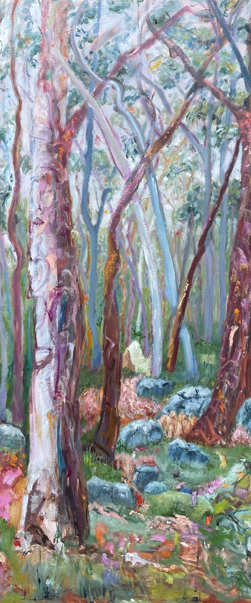 THE ROCKS by Maureen Finck