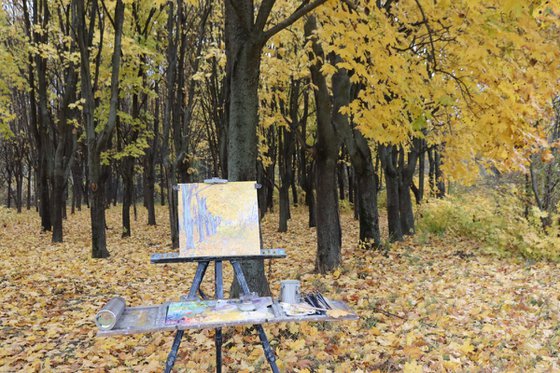 Golden maples in the park