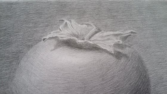 Still life # 6. Original pencil drawing.