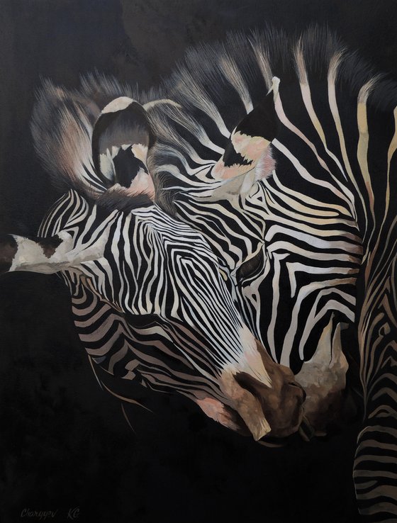 Beautiful zebras