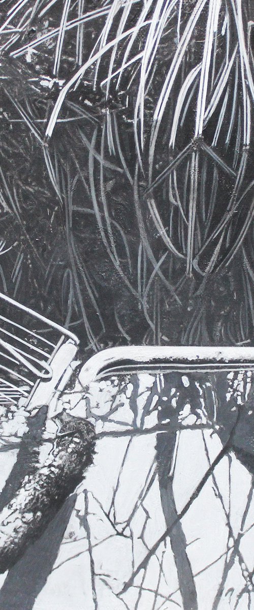 The Trolley by Deborah Batt NAPA SGFA