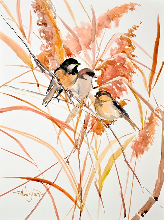 Sparrows in the Fall