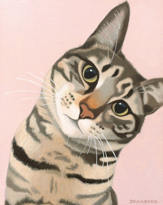 Doolally Cat