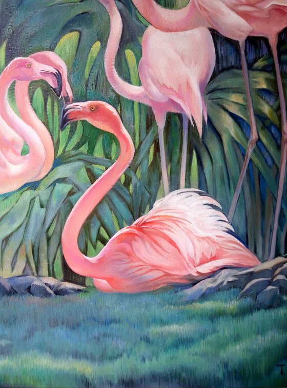 Flamingos