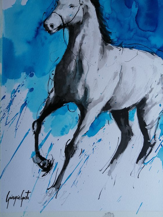 horses 24