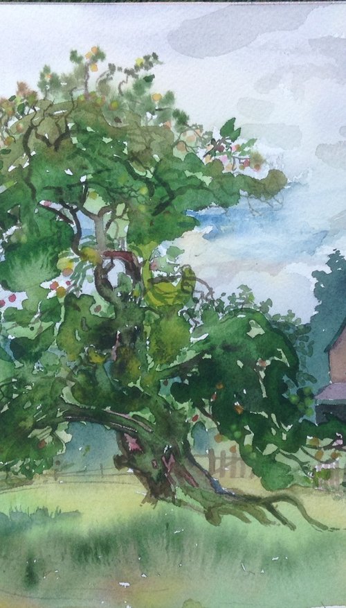 Beatrix Potter Apple Tree by Dmitri Miletskii