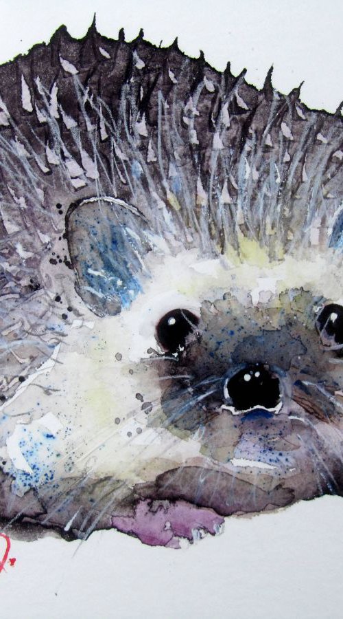 Mr Hedgehog by Violeta Damjanovic-Behrendt