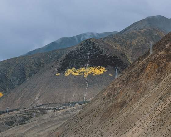 The World Tree Within the Mountain