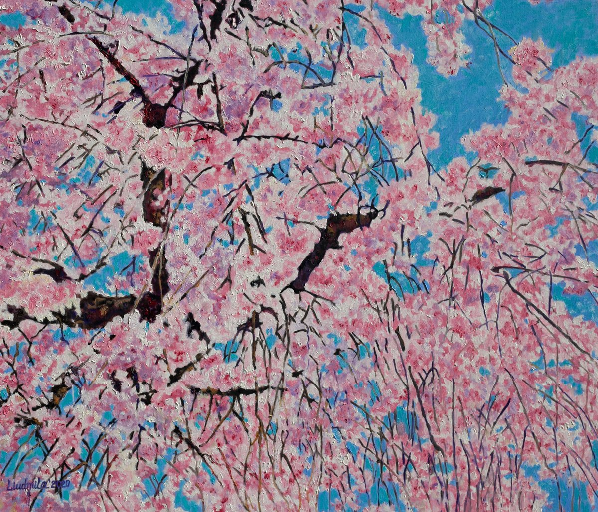 Cherry Blossom by Liudmila Pisliakova