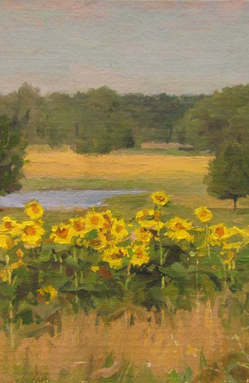 Sunflowers by Viktoriia Pidvarchan