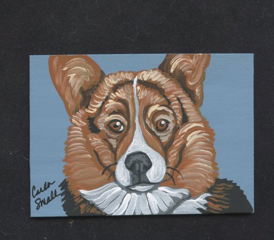 Pembroke Welsh Corgi