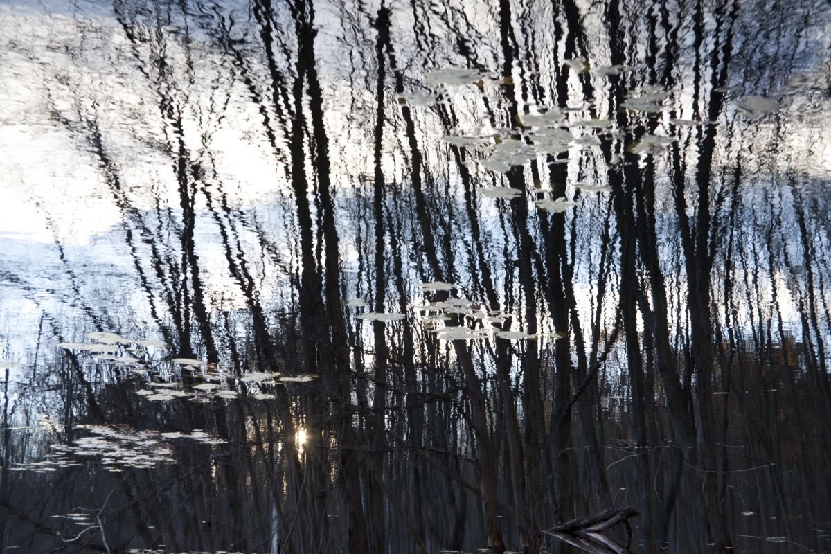 Photorealistic Photograph , Reflection 11 By Michael Filonow, 32 X 22, Artwork For Sale On Artfinder