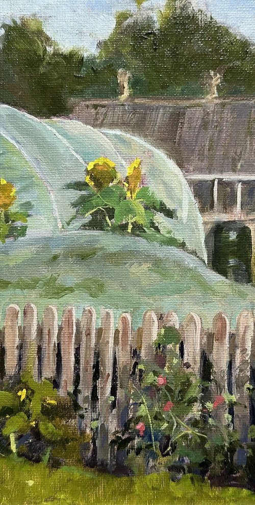 Growing Season by Toni Swiffen